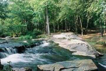 Creek at Lundy Creek Lodge