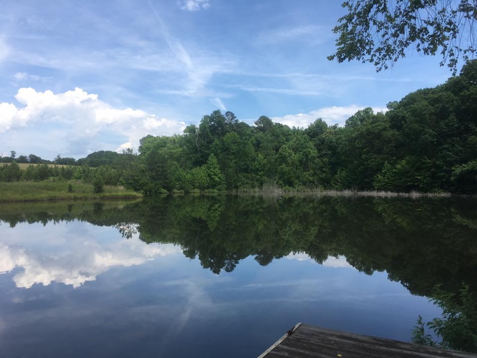 Overlook of the Fishing Pond Lundy Creek Lodge