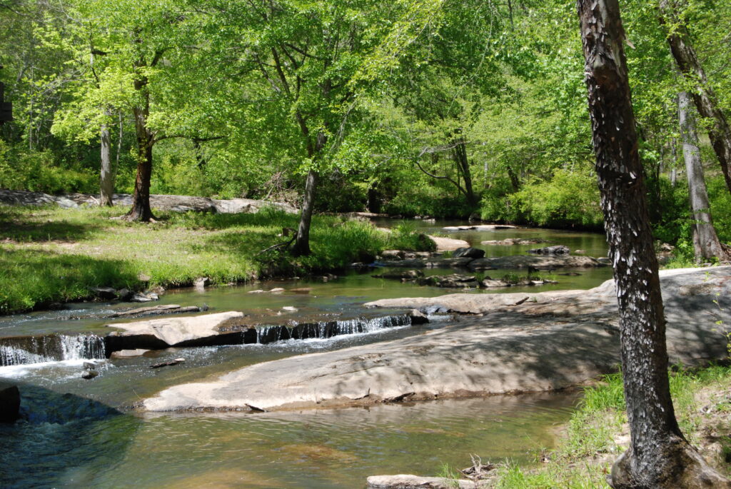 A picture of a small creek with trees