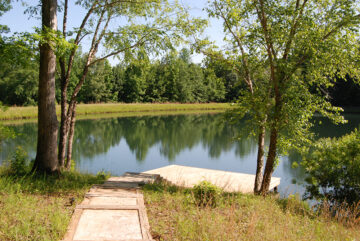 Overlooking the Fishing Pond