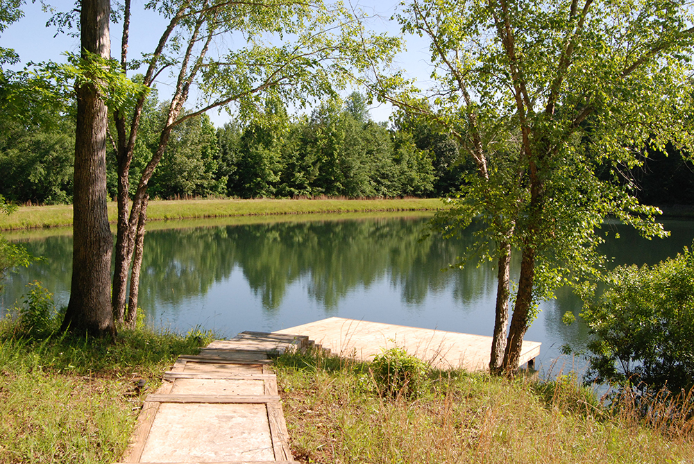 Overlooking the Bass Lake